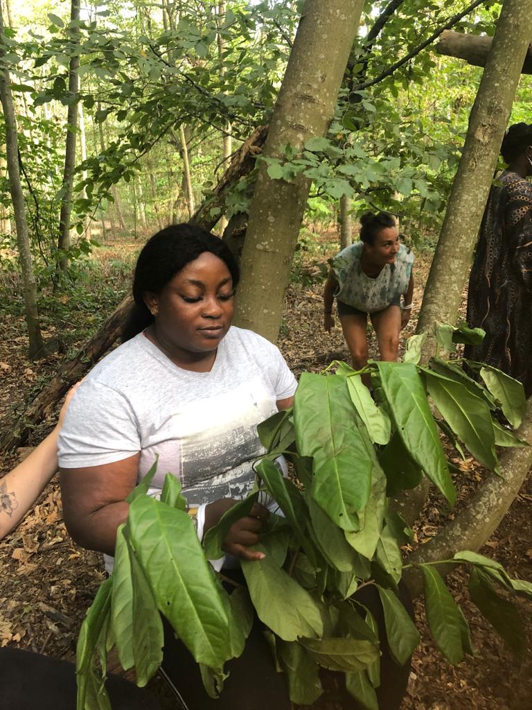 Coven invite à la circulation des savoirs et à la coopération, ici pour construire un refuge dans le bois de vincennes